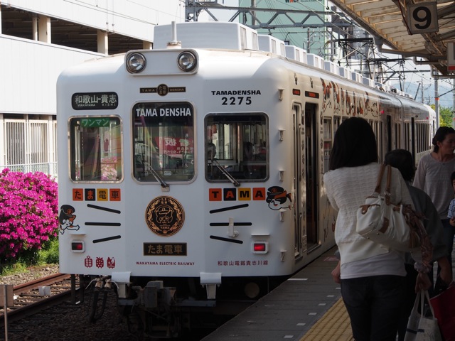 たま電車1.jpg