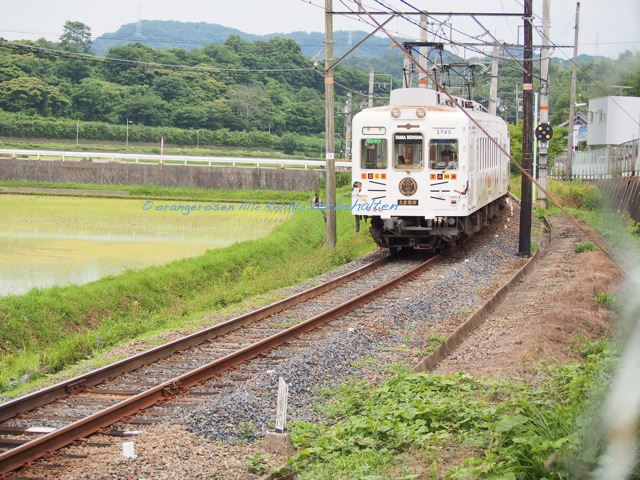 貴志川線3.jpg