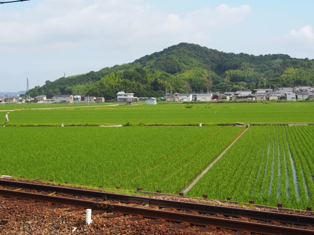 貴志川線２.jpg