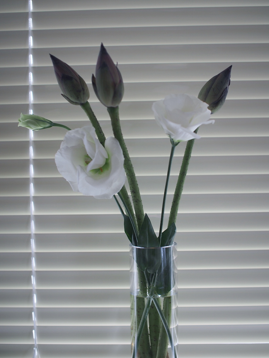 Weisse Blumen.jpg